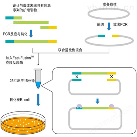 50次白術PCR鑒定試劑盒說明書