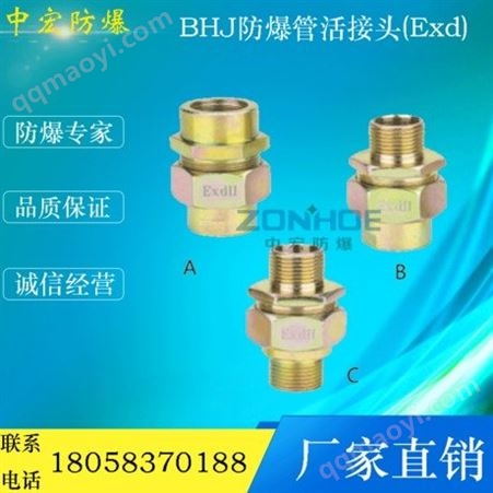 ZH-BHJBHJ防爆活接头防爆密封接头