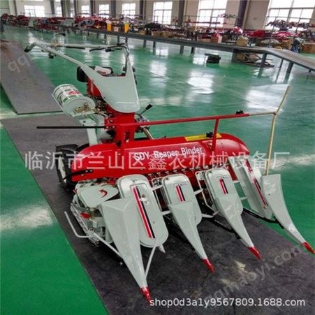 xn-50小型苜蓿草自动割捆机 小麦稻子收割打捆一体机 小块地割捆机视频