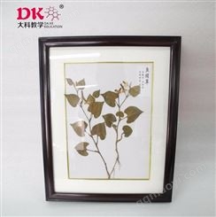 教学腊叶标本_大科教学_植物腊叶标本_制作出售