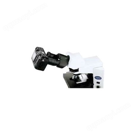 奥林巴斯显微镜CX41 科研显微镜 无铅玻璃新一代CX41 显微镜厂家 富莱