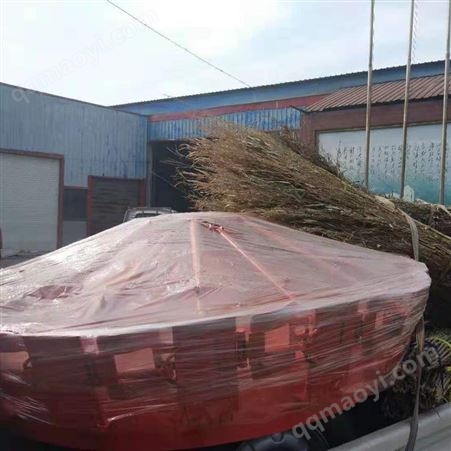 0123道路清扫专家 风火轮扫地机 扫路机 扫路机型号价格一览表YJ-16