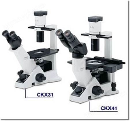 CKX31/CKX41 奥林巴斯临床倒置显微镜